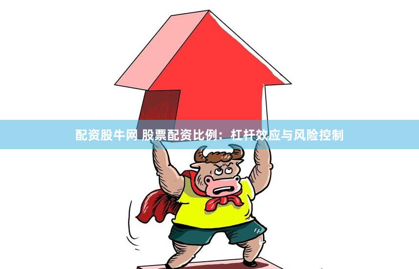 配资股牛网 股票配资比例：杠杆效应与风险控制